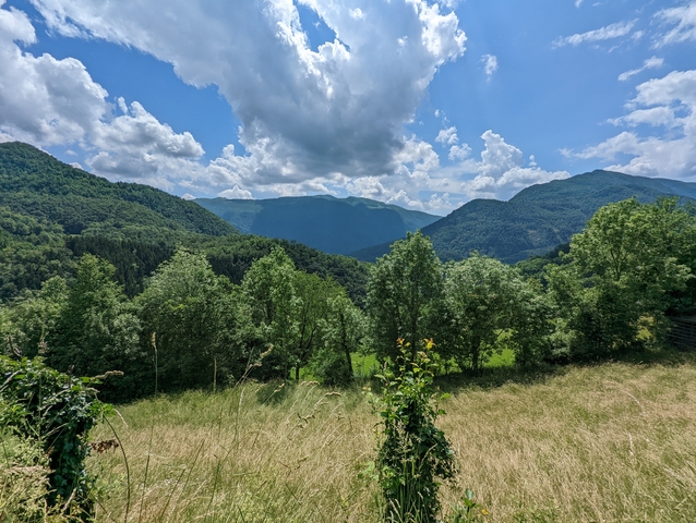 Wide view of a valley with lush greenery and mountains