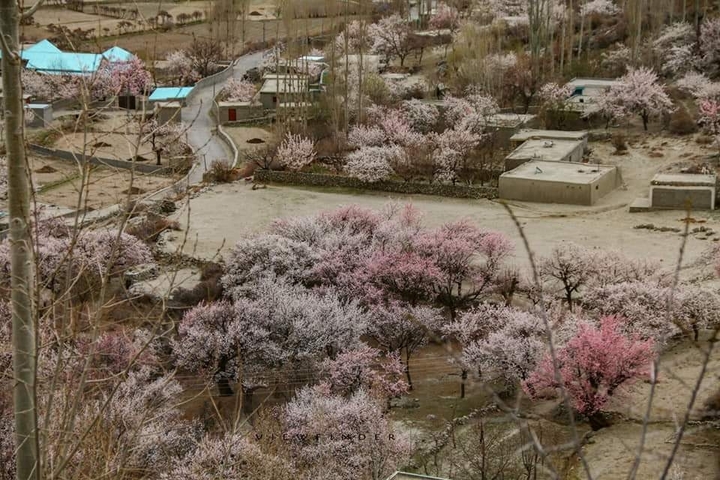       Klantbeoordelingsfoto van Hunza Shangri-La Tour 
  