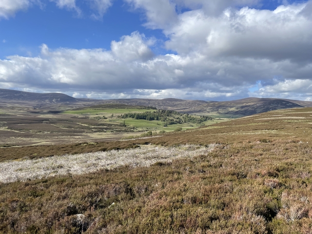 Wide landscape showing rolling hills with scattered trees and bushes.