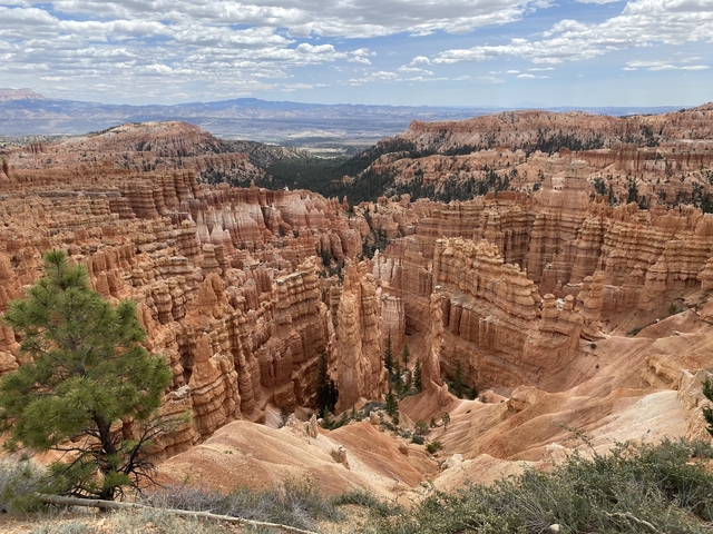 Vast canyon landscape with clearly defined rock formations.