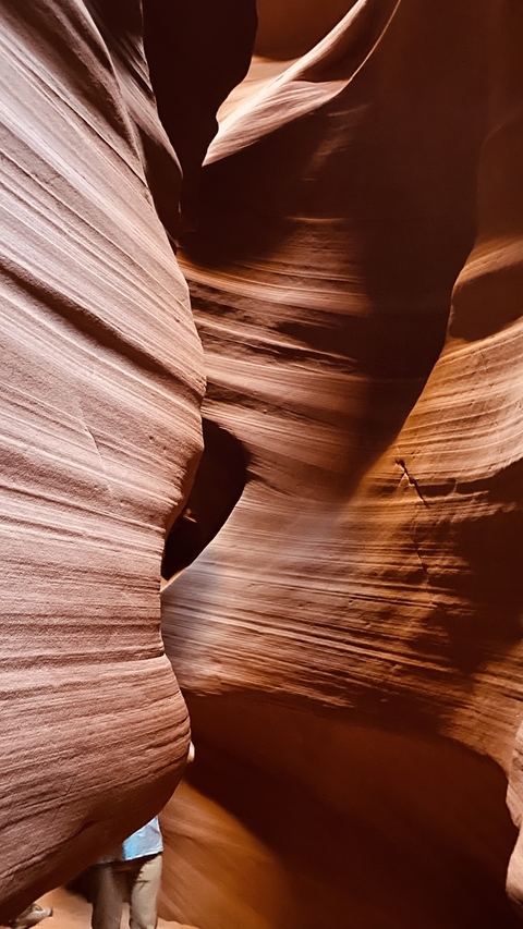       Close-up view of canyon walls with beautiful textures.
  