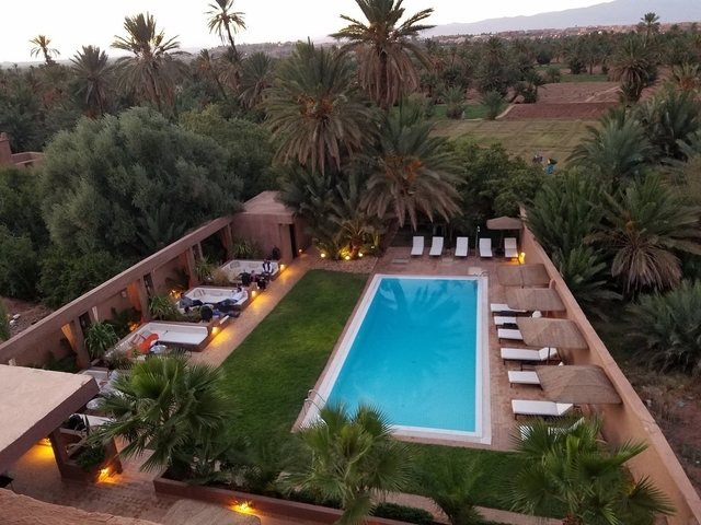      A view of a pool area surrounded by palm trees in a landscaped property.
  