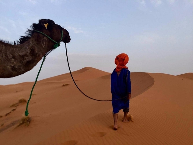       A person and a camel walking in the desert.
  
