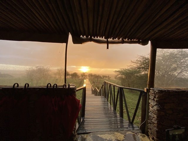 Wooden walkway towards the sunset