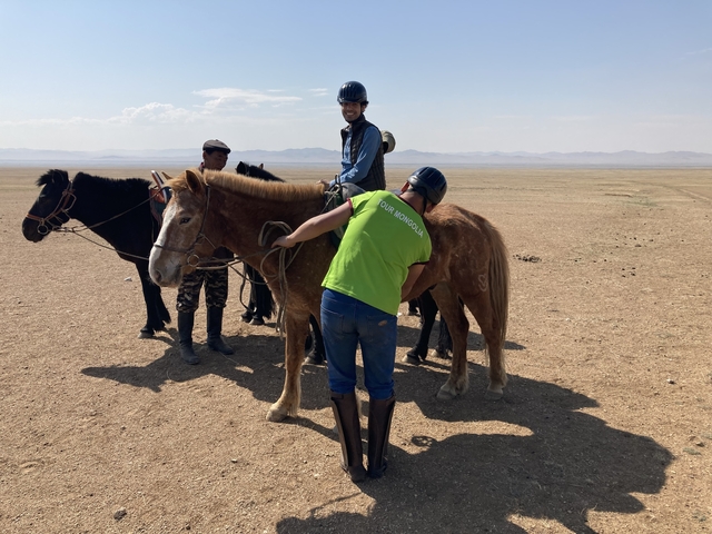       Tourist getting ready for a horse ride in the desert
  