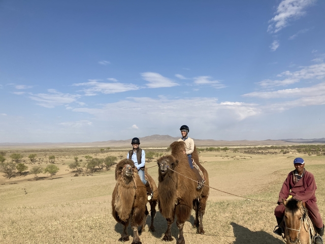Tourists riding camels in a desert