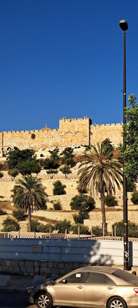 Ancient walls with palm trees and blue sky.