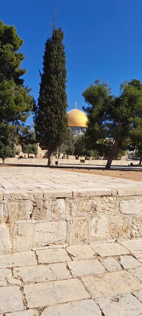 Stone pavement leading to a religious landmark.