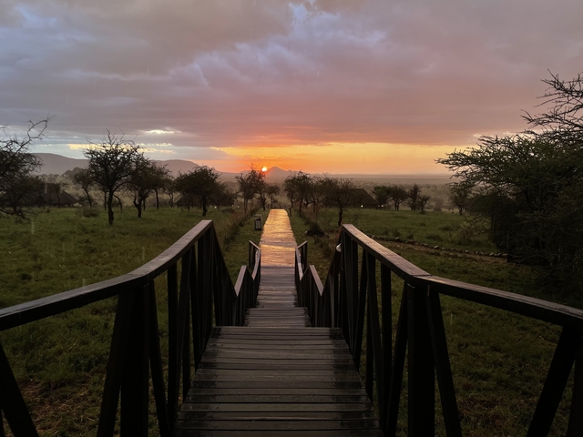 Wooden pathway leading towards a sunset over plains.