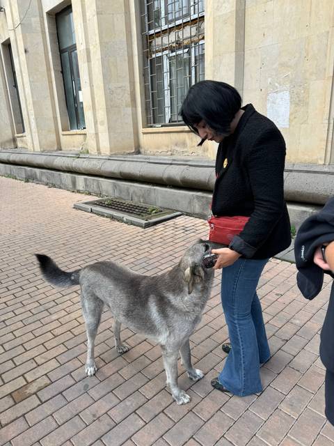 Woman interacting with a dog on a brick-paved area.