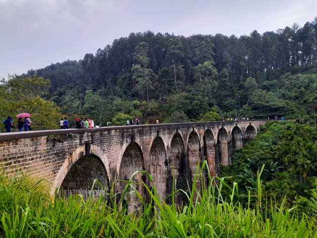       Bridge in lush greenery with tourists walking on it.
  