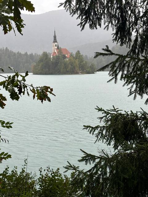 Lake view with forest and mountains in the background.