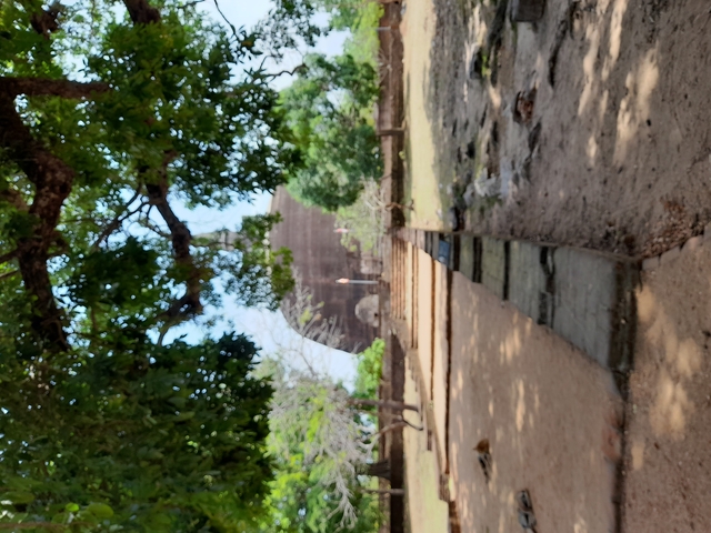       Blurry image of a large rock and trees.
  