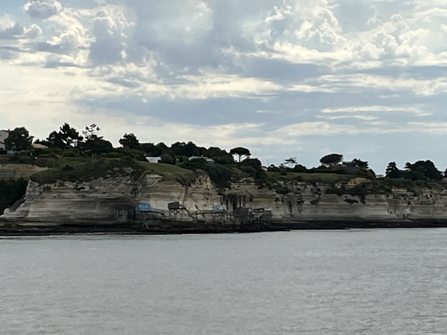 Rocky coastal landscape with trees.