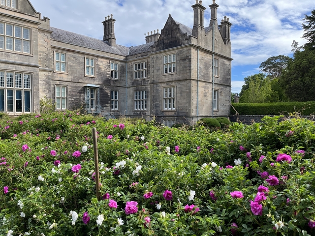 Historic stone building with colorful garden.