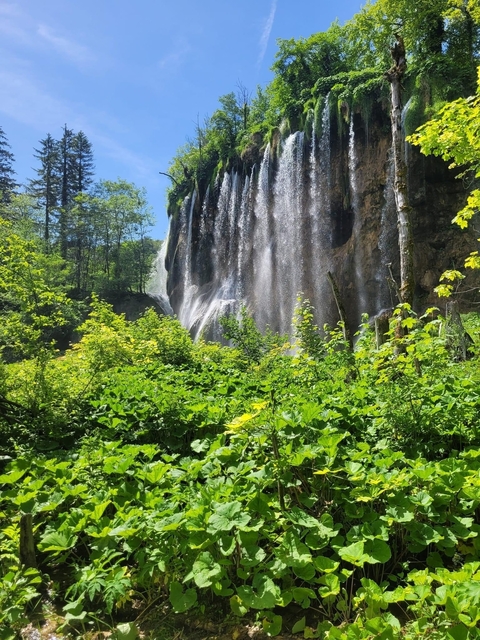       Waterfall surrounded by lush greenery.
  