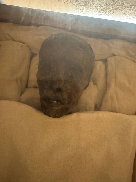       An ancient mummified head on display.
  