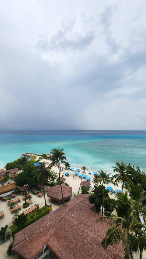 Beach view with clear blue waters and palm trees.