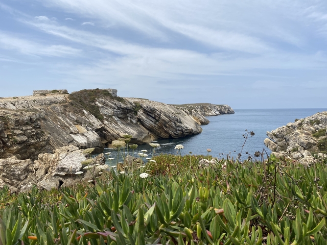 Rocky coastline with wildflowers and an expansive sea view.