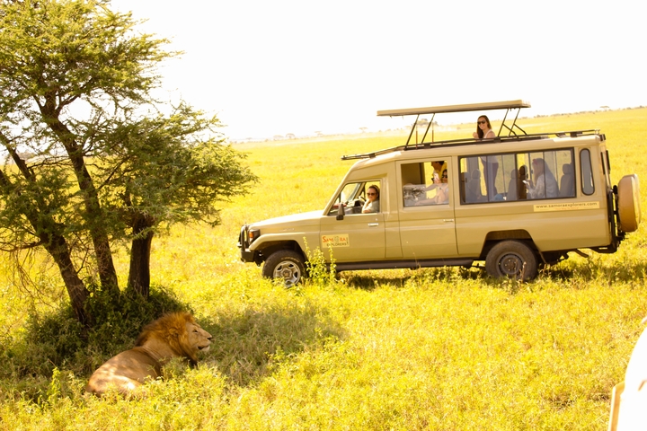       Safari vehicle with tourists watching a lion in a grassy field.
  