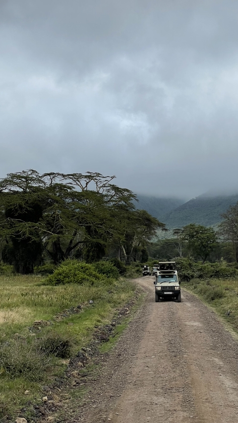       Scenic view of a misty valley with vehicles visible.
  