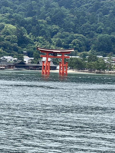 Iconic floating torii gate in water, surrounded by traditional buildings.