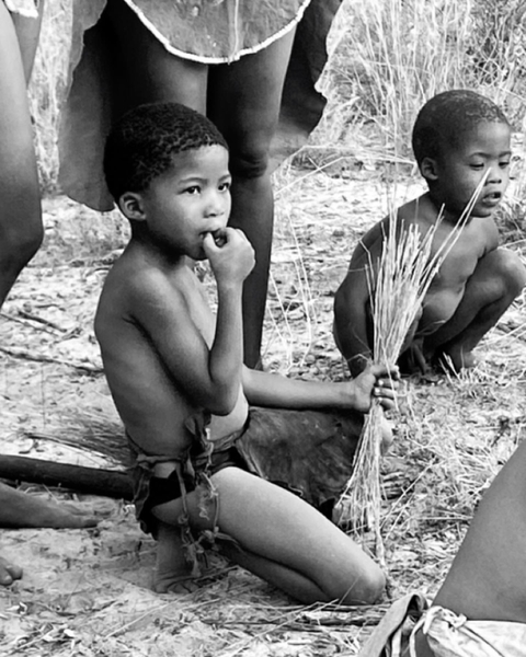       Children sitting in a natural setting.
  
