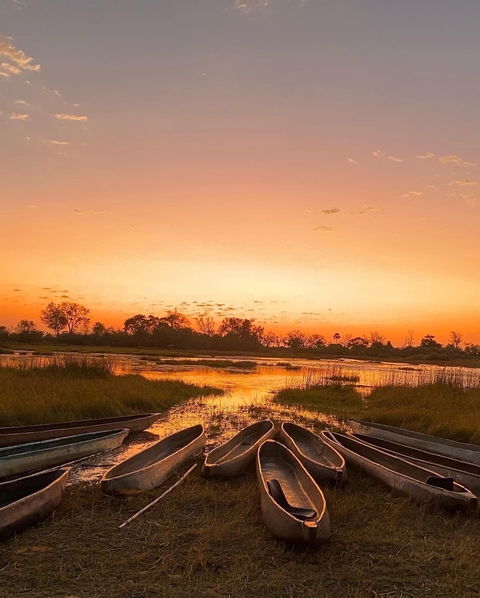       Scenic sunset over a river with silhouetted trees.
  