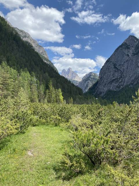 A lush green valley with distant mountains.