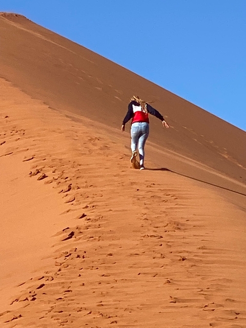 Person climbing a sand dune.