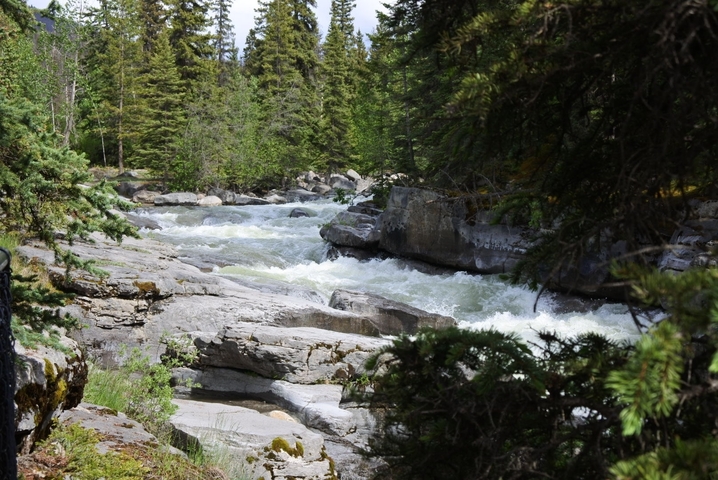 River flowing through a forested area.