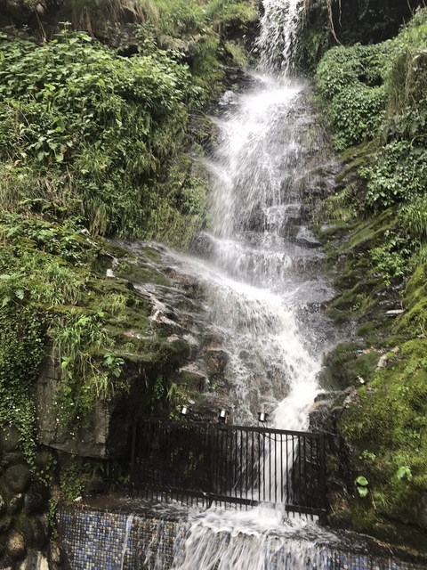       Natural waterfall surrounded by greenery
  