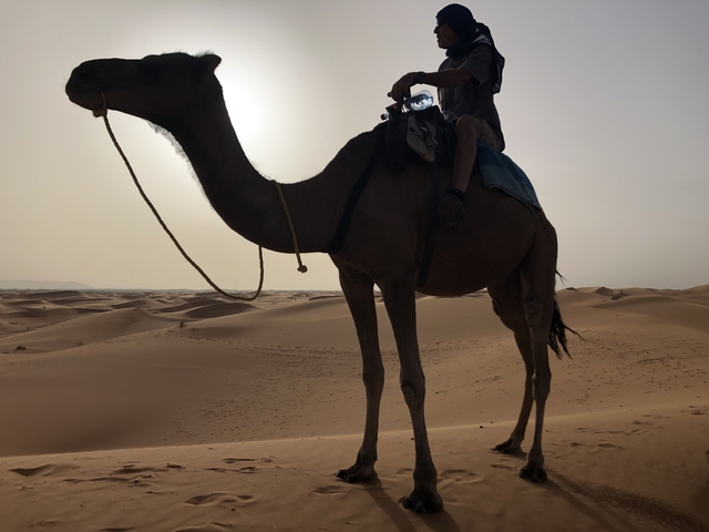 Person riding a camel on sand dunes at sunset