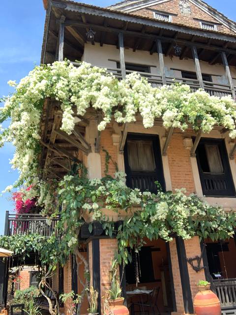       Traditional building with flowers cascading down.
  