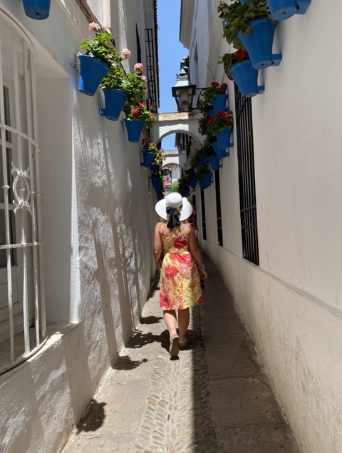       Person walks through a narrow, decorated alleyway.
  