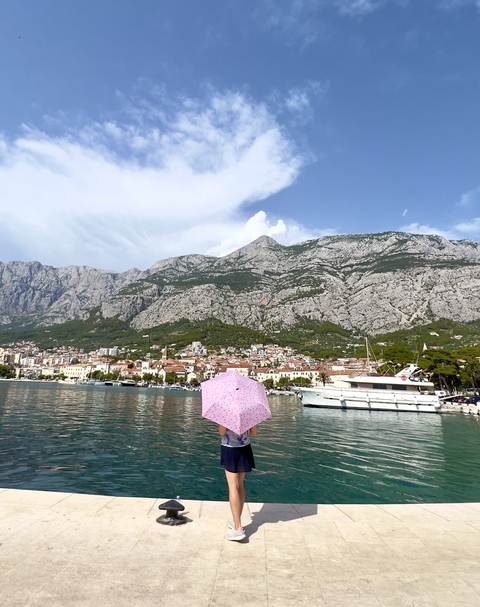       A scenic seaside town with mountains in the background.
  