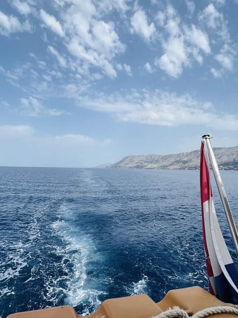       Open sea view from a boat with a distant shoreline.
  