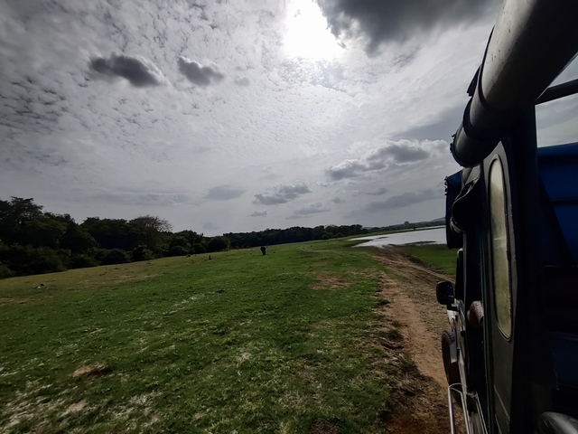 Grassy field with a vehicle visible on the side.