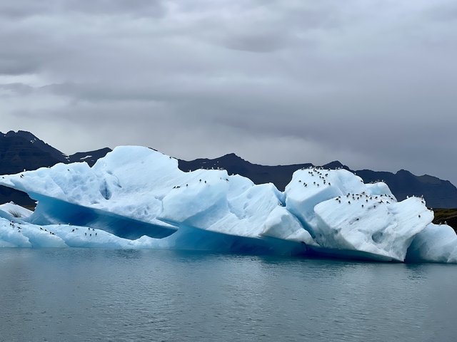 Icebergs floating in a glacial lake surrounded by mountains.