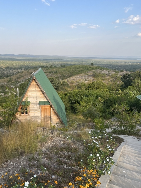       Wooden cabin on a hill with forest in the background.
  