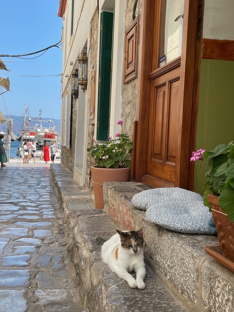       Narrow cobblestone street lined with flowers and colorful doors.
  