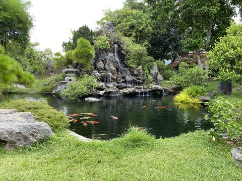Quiet garden with a pond and colorful fish.