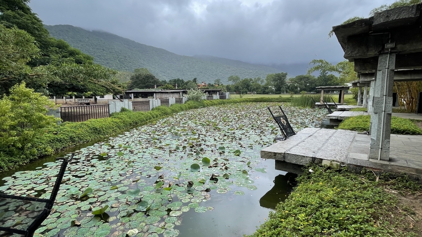       Garden pond with water lilies and cloudy skies.
  
