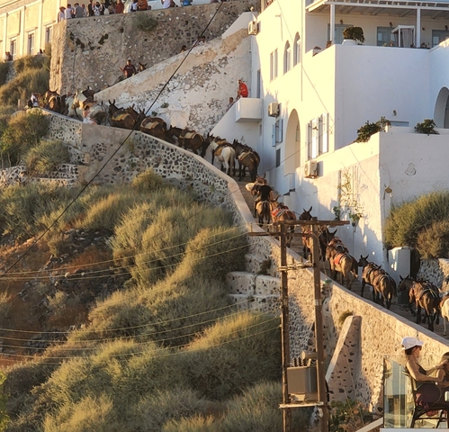       Donkeys climbing a steep path with beautiful views.
  