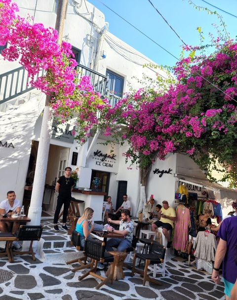       Vibrant street scene with colorful flowers and shops.
  