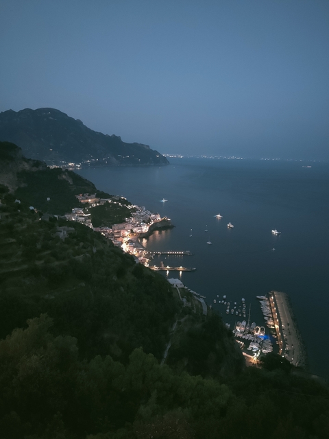       Coastal town lights at night overlooking the sea
  