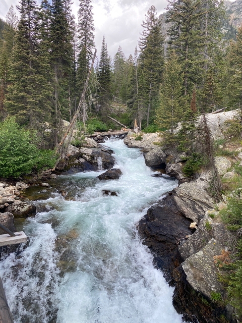 A clear river flowing through a forested area.