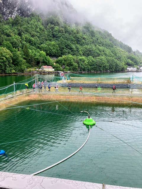       A group of people standing on a fish farm floating structure.
  