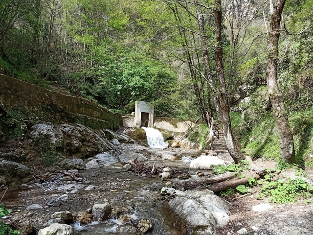 A small waterfall and stream flowing through a forest.