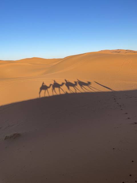 Desert scene with camel shadows cast on sand dunes.